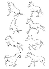 Horse, a colouring book for kids, easy to colour, vector illustration, Vector, Annimals