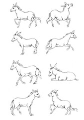 Horse, a colouring book for kids, easy to colour, vector illustration, Vector, Annimals