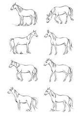 Horse, a colouring book for kids, easy to colour, vector illustration, Vector, Annimals