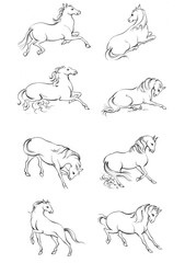 Horse, a colouring book for kids, easy to colour, vector illustration, Vector, Annimals