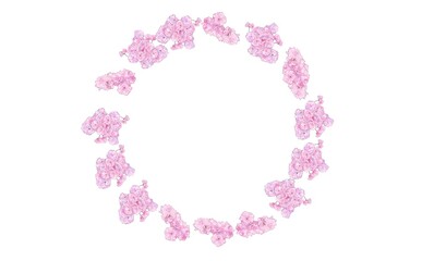 八重桜のフレーム　①