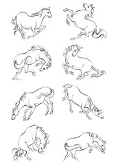 6 Horse, a colouring book for kids, easy to colour, vector illustration, Vector, Annimals
