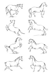 6 Horse, a colouring book for kids, easy to colour, vector illustration, Vector, Annimals
