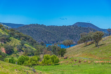Summertime at Windamere Dam or Lake Windameere in Cudgegong close to Mudgee in the Central West of NSW, Australia.