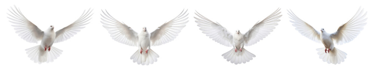 Obraz premium Flying white dove png cut out element set, transparent background
