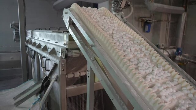 Production potential of the new line for the production of extra edible salt in tablet form. Tablet salt is intended for the restoration of ion-exchange properties of cation filters
