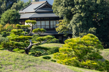Japanese Ornamental Garden.