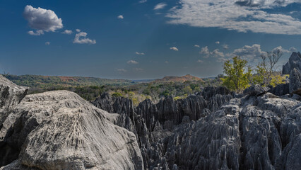 The incredible landscape of Madagascar. Gray karst rocks with steep, furrowed slopes and sharp peaks. A valley with a green forest in the distance. Blue sky, clouds. Tsingy De Bemaraha 