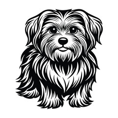 vector maltese