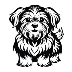 vector maltese
