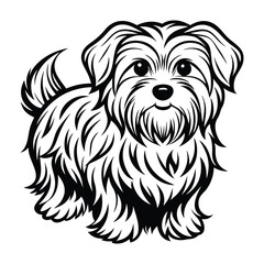 vector maltese