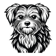 vector maltese