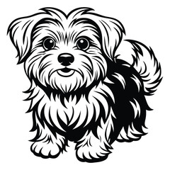 vector maltese