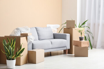 Interior of new living room with grey sofa, houseplants and cardboard boxes. Moving house concept
