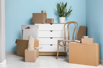 Fototapeta premium Chest of drawers, houseplant and cardboard boxes near blue wall. Moving house concept
