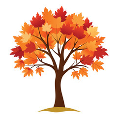 maple tree on white background
