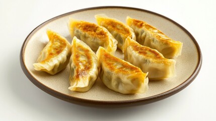 Delicious Fried Dumplings on a Plate