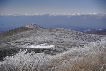 한라산 영실 눈꽃 설산라산 영실 눈꽃 설산