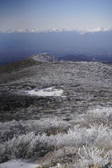 한라산 영실 눈꽃 설산라산 영실 눈꽃 설산