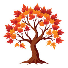 maple tree on white background