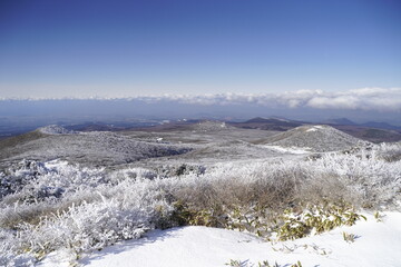 한라산 영실 눈꽃 설산라산 영실 눈꽃 설산