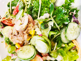 Vegetable Salad with Tuna Salad with Canned Tuna Vegetable Salad with Red Onion, Tomato Healthy Food