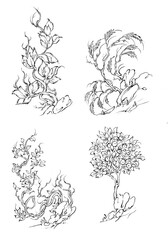 Hand drawn 4 beautiful miniature trees with white background
