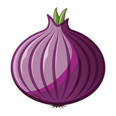 vector onion on white background