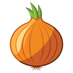 vector onion on white background