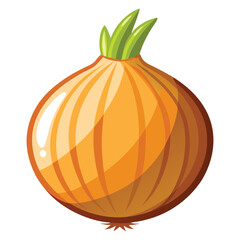 vector onion on white background