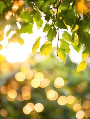 Obraz premium Sunlit Green Leaves with Soft Bokeh Background in Natural Outdoor Setting