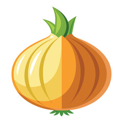 vector onion on white background