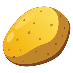 potato on white background