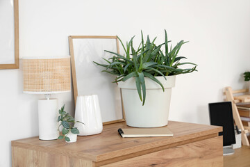 Chest of drawers with houseplant, lamp and notebook in light living room