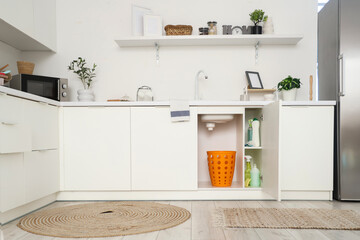 Trash bin under sink in kitchen