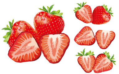 4 types of strawberry illustration designs