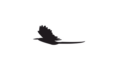 Flying Scimitarbill Bird Silhouette Design  And Vector Illustration. 