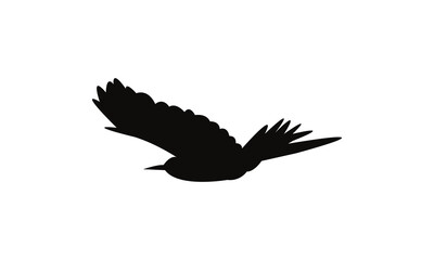 Flying Scimitarbill Bird Silhouette Design  And Vector Illustration. 