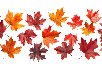Fototapeta premium Autumn Maple Leaves Collection Isolated on Transparent Background