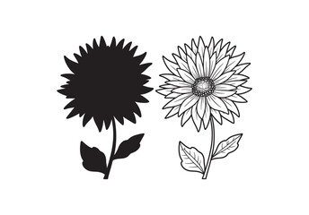 Fototapeta premium Ashok Flower line art vector on white background