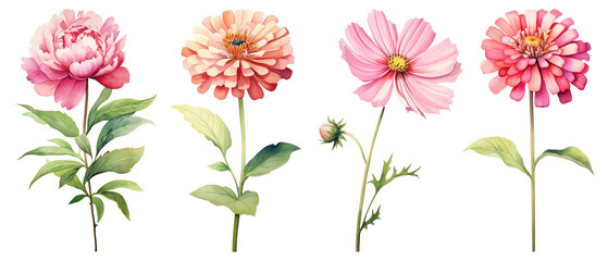 Watercolor flower illustration png cut out element set, transparent background