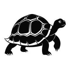 tortoise vector silhouette on white background