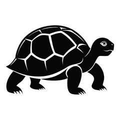 tortoise vector silhouette on white background