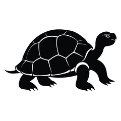 tortoise vector silhouette on white background