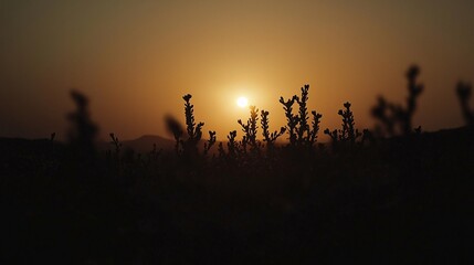 A captivating silhouette of desert cacti against a vibrant sunset highlights the striking interplay of dark shapes and warm colors in nature's beauty.