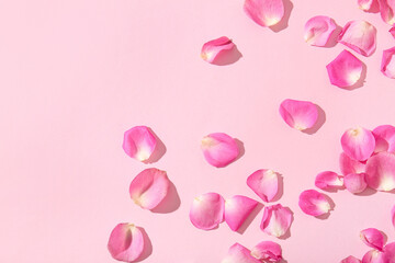 Fototapeta premium Many beautiful rose petals on pink background