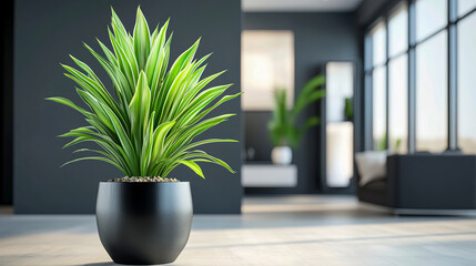 Fototapeta premium Vibrant green plant in modern minimalist living room with natural light