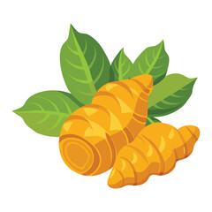 vector turmeric