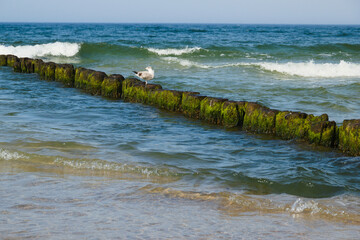 waves on the beach
