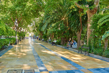 Obraz premium Park, travel and walkway with tourist people at Parque de la Alameda in Marbella, Spain. Nature, trees and spring with brick lane road outdoor in conservation location for sightseeing or tourism
